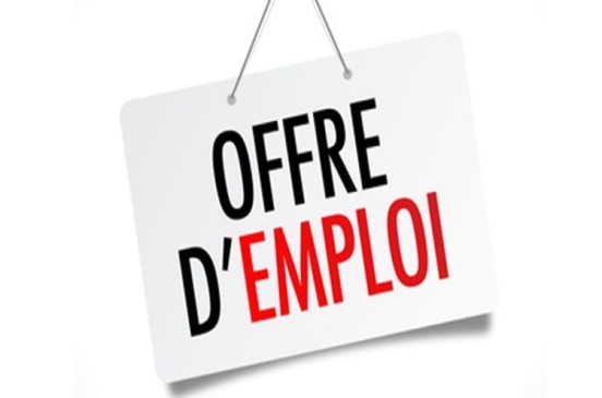 POSTE D&rsquo;AGENT DE DÉVELOPPEMENT