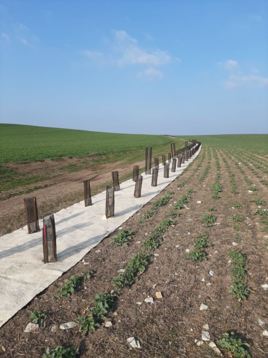 UN PETIT PLAN POUR LA BIODIVERSITE